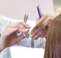 ピュアーネのカット